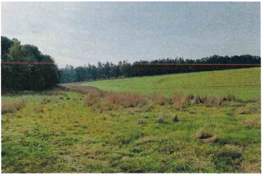 land- und forstwirtschaftlich genutztes Grundstück in Großsaara, 07589 Saara - Bild 2