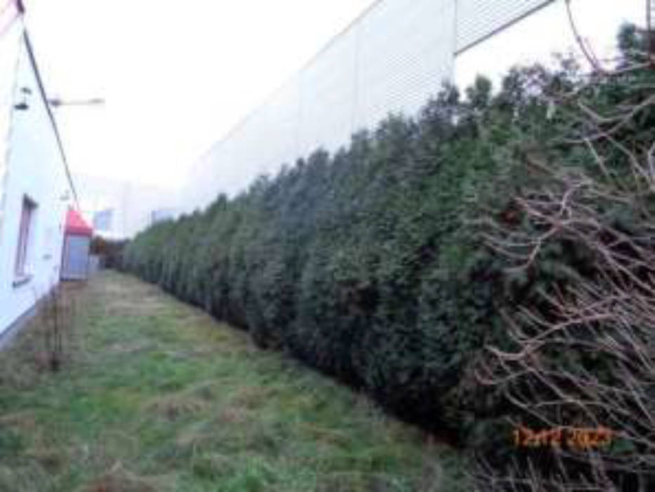 thueringen K 0034/2022 Gewerbering  6, 98693 Ilmenau, Langewiesen 19