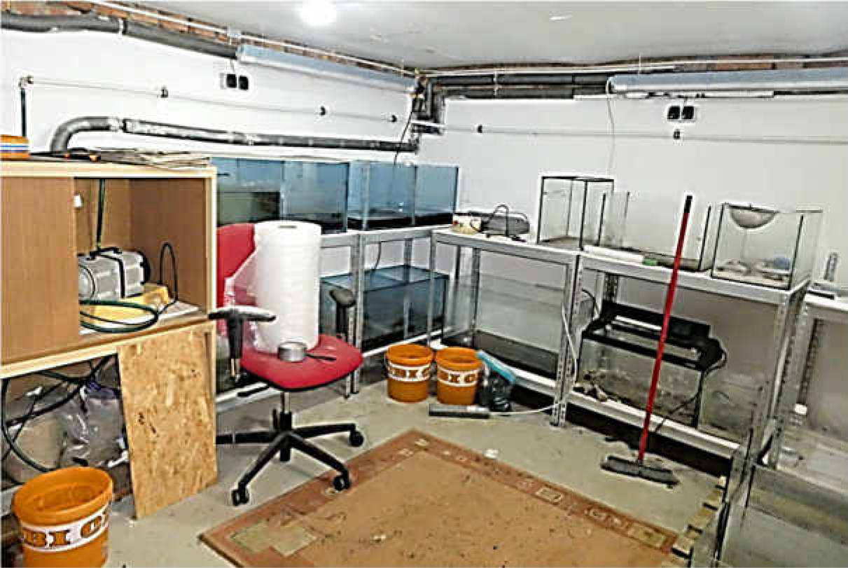 thueringen K 0034/2024 Am Oberplan  43, 99634 Werningshausen 14