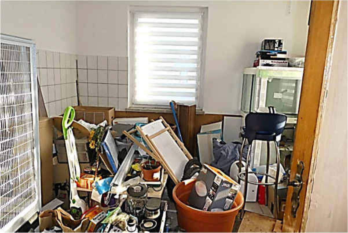 thueringen K 0034/2024 Am Oberplan  43, 99634 Werningshausen 25
