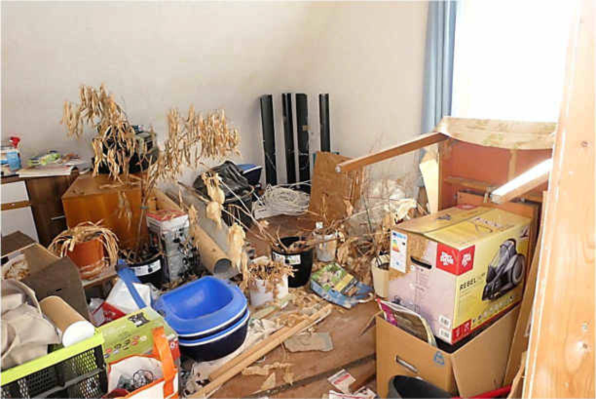 thueringen K 0034/2024 Am Oberplan  43, 99634 Werningshausen 22