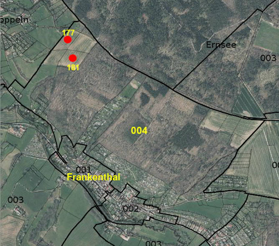 land- und forstwirtschaftlich genutztes Grundstück in Frankenthal, 07548 Gera