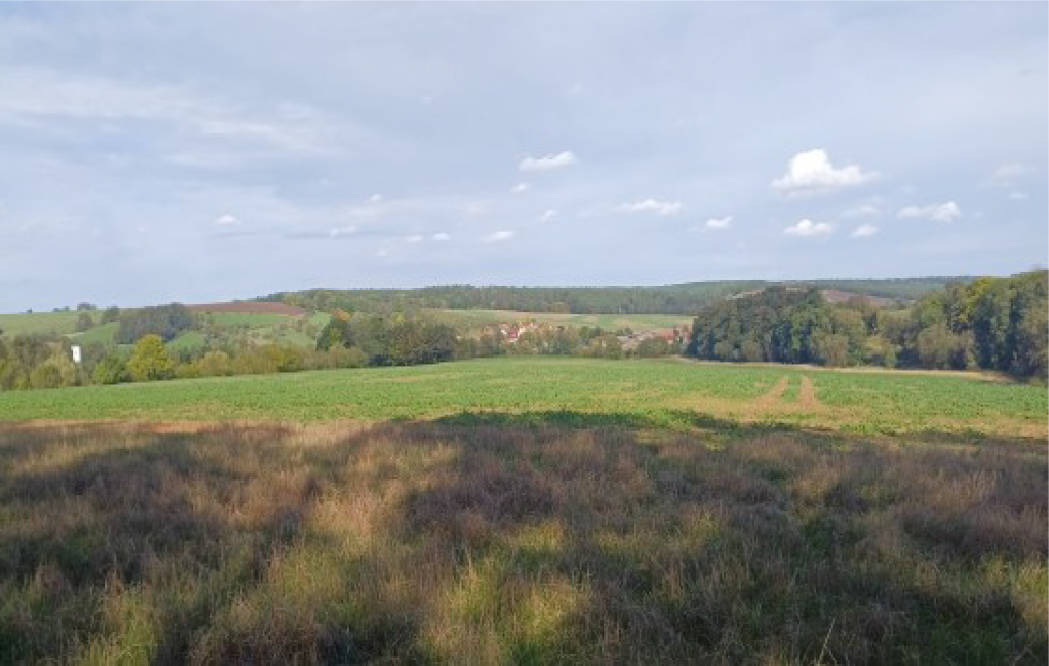 land- und forstwirtschaftlich genutztes Grundstück in Großsaara, 07589 Saara - Bild 2