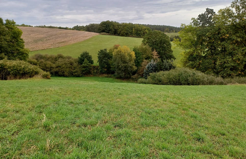 land- und forstwirtschaftlich genutztes Grundstück in Harpersdorf, 07586 Kraftsdorf - Bild 2