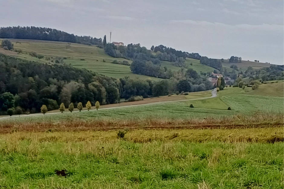 land- und forstwirtschaftlich genutztes Grundstück in Harpersdorf, 07586 Kraftsdorf