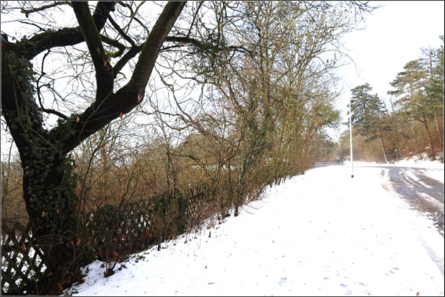 thueringen K 0040/2025 Schulstraße  109, 99625 Kölleda, Beichlingen 13