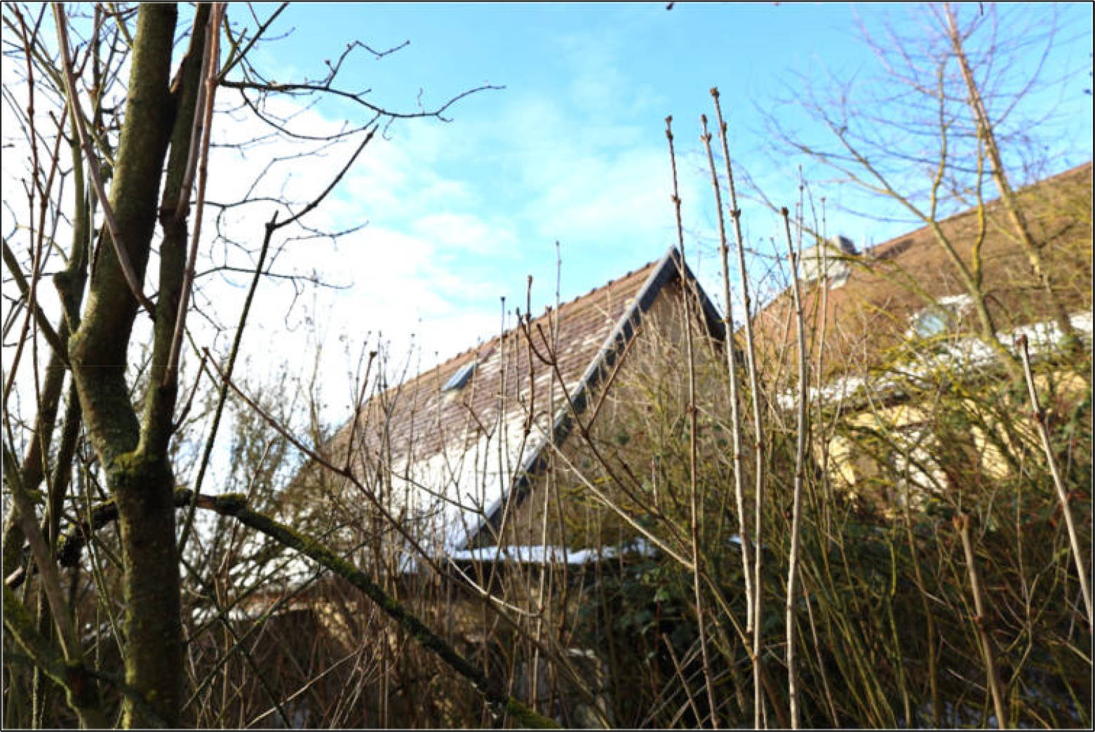 thueringen K 0040/2025 Schulstraße  109, 99625 Kölleda, Beichlingen 6