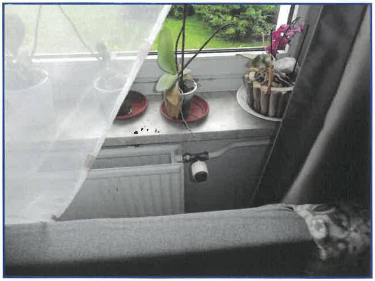 thueringen K 0044/2024 Gabeler Straße 42-50, 98667 Schleusegrund , OT Schönbrunn 28