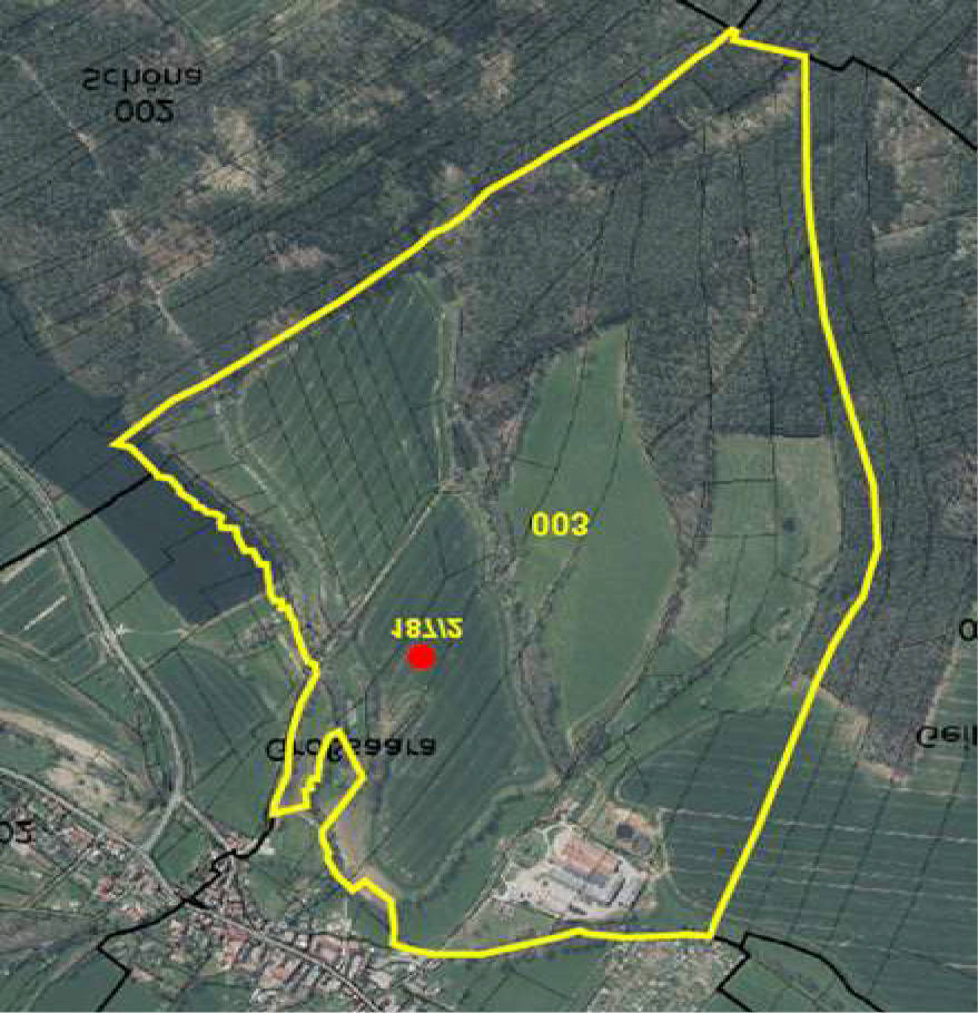 land- und forstwirtschaftlich genutztes Grundstück in Großsaara, 07589 Saara - Bild 4