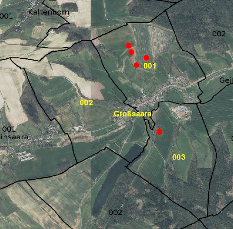 land- und forstwirtschaftlich genutztes Grundstück in Großsaara, 07589 Saara - Bild 2