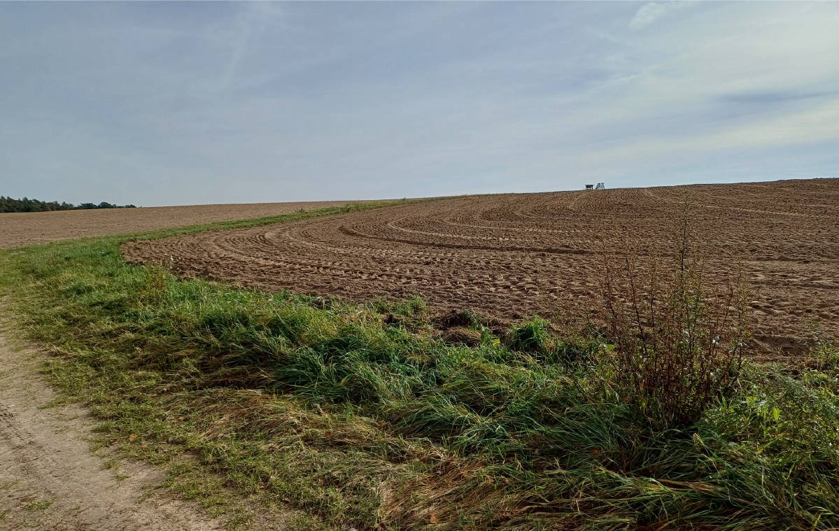 land- und forstwirtschaftlich genutztes Grundstück in Großsaara, 07589 Saara