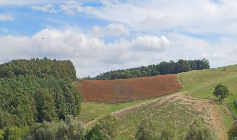 thueringen K 0059/2021 Niederndorf, 07586 Kraftsdorf 3