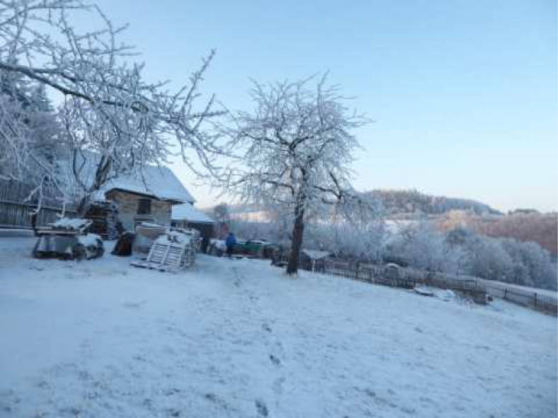 Einfamilienhaus K 0064-2023 Ortsstraße 8, 07318 Saalfeld, Wittmannsgereuth
