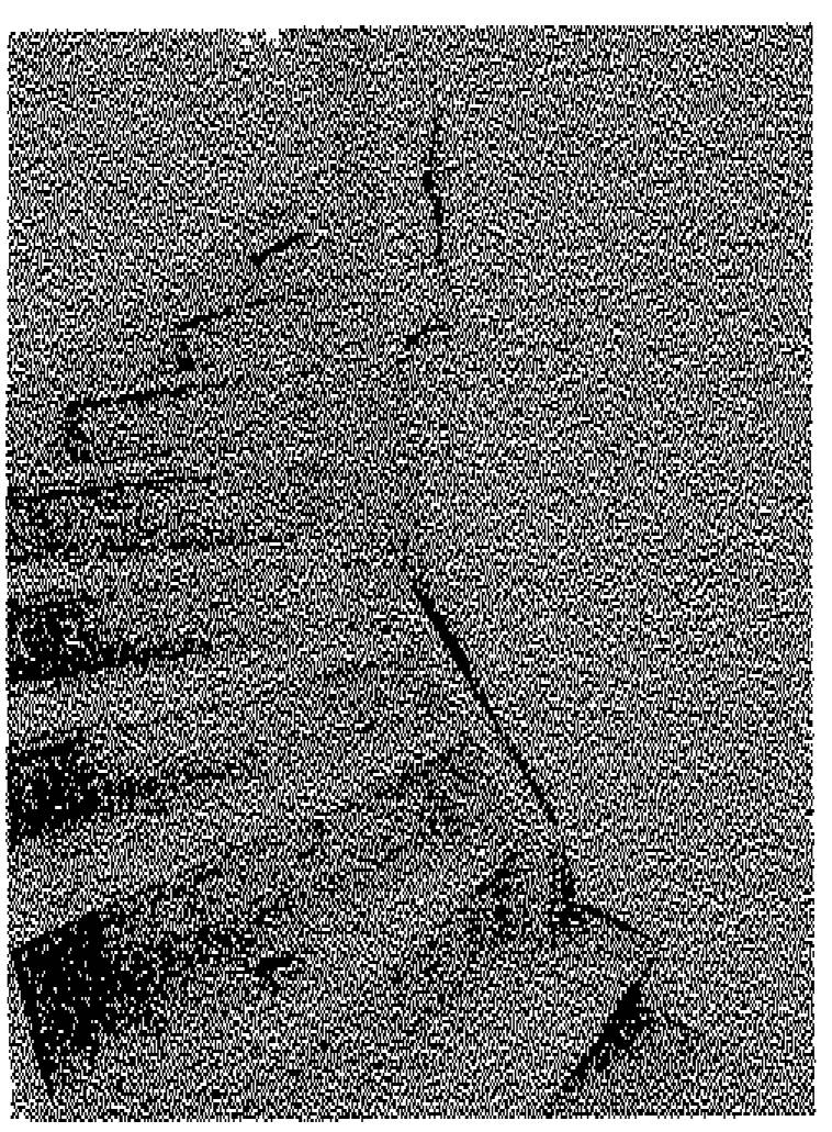 thueringen K 0066/2024 Uhlsbachstraße 126a, 07407 Uhlstädt-Kirchhasel 20
