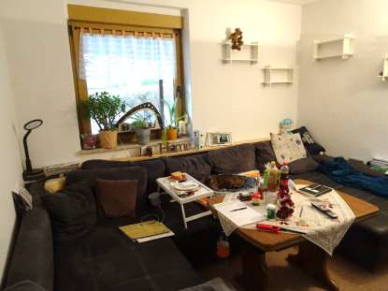 thueringen K0067/2024 Adlerstraße  76, 07318 Saalfeld 10