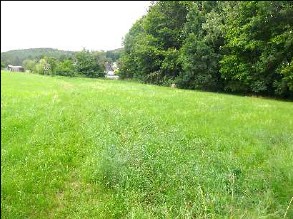 thueringen K0082/2023 Waldstraße  59, 07381 Pößneck 7