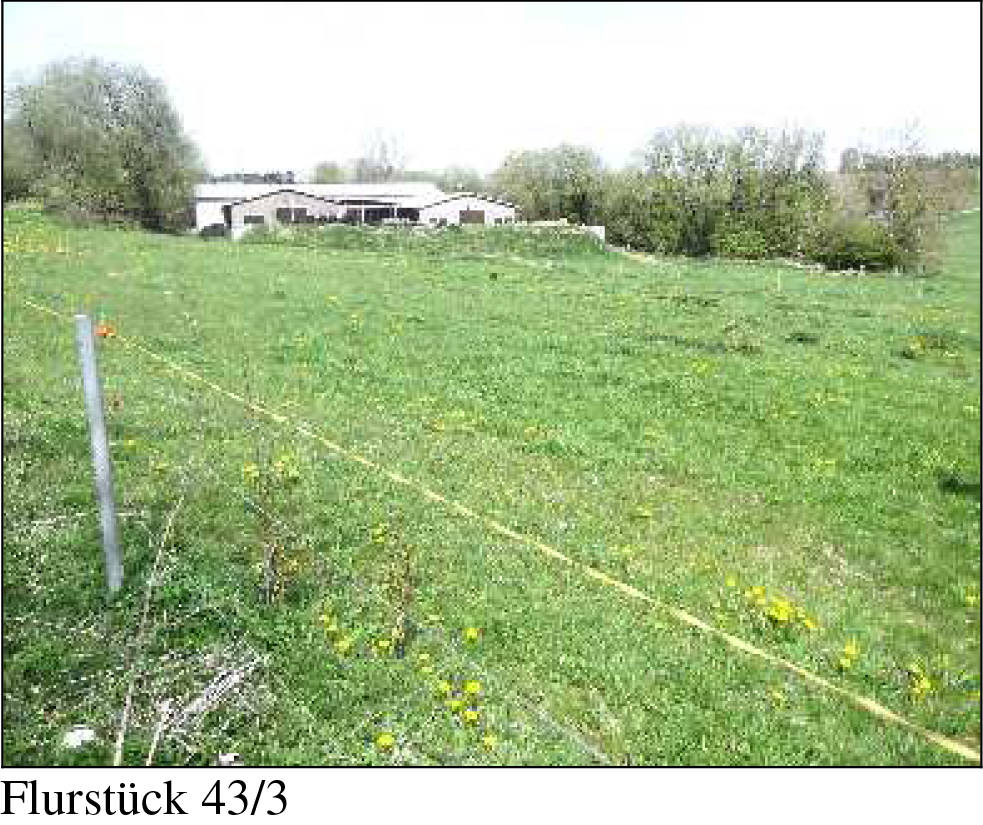 thueringen K 0088/2023 Heinrichsgasse  6,8, 07366 Rosenthal am Rennsteig, OT Schlegel 12