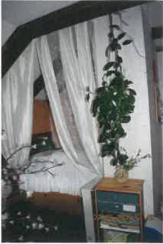 thueringen K 0096/2024 Am Steinbühl  19, 07368 Remptendorf, OT Liebschütz 14