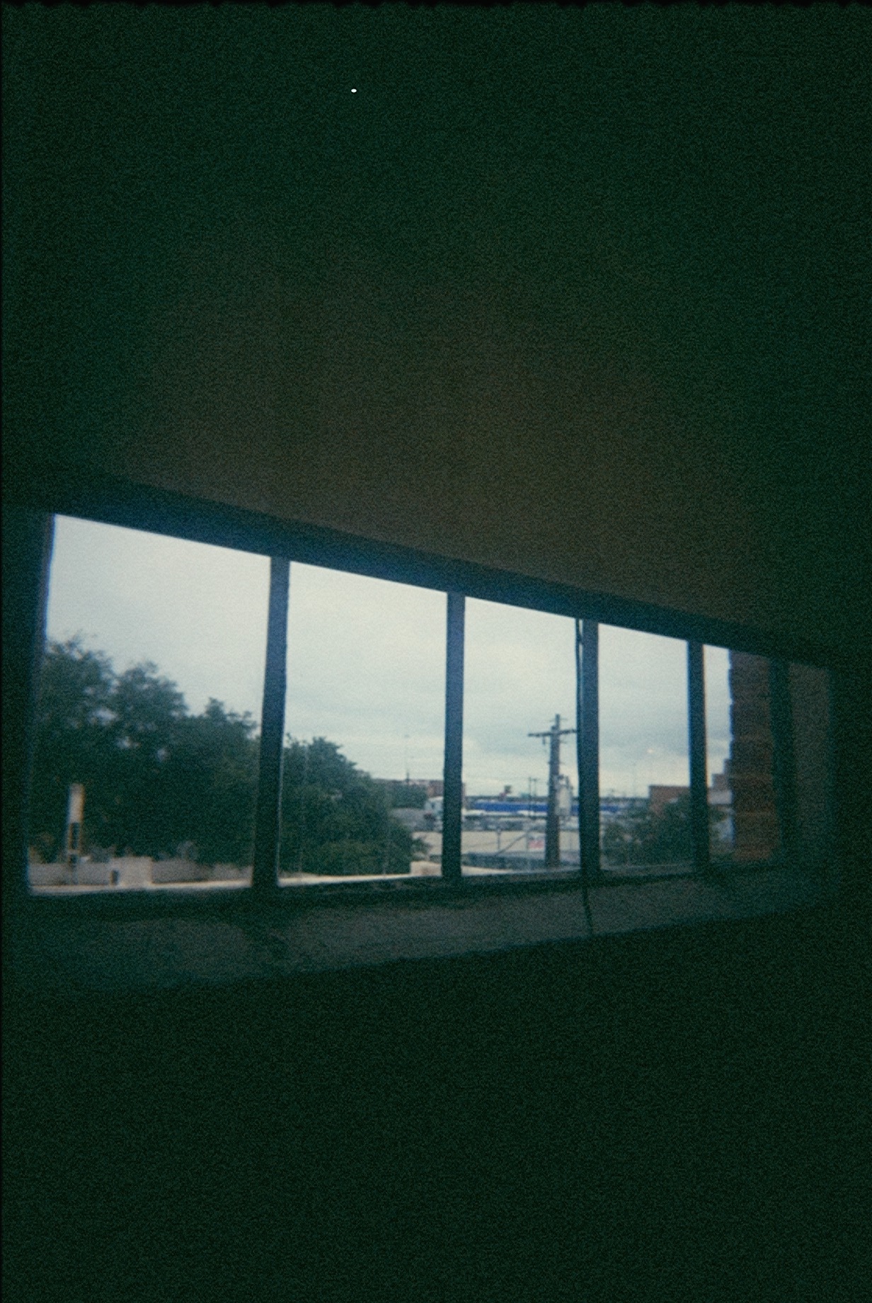 35 mm point-and-shoot look photo shot on iPhone with Atticam (GOLD 400)