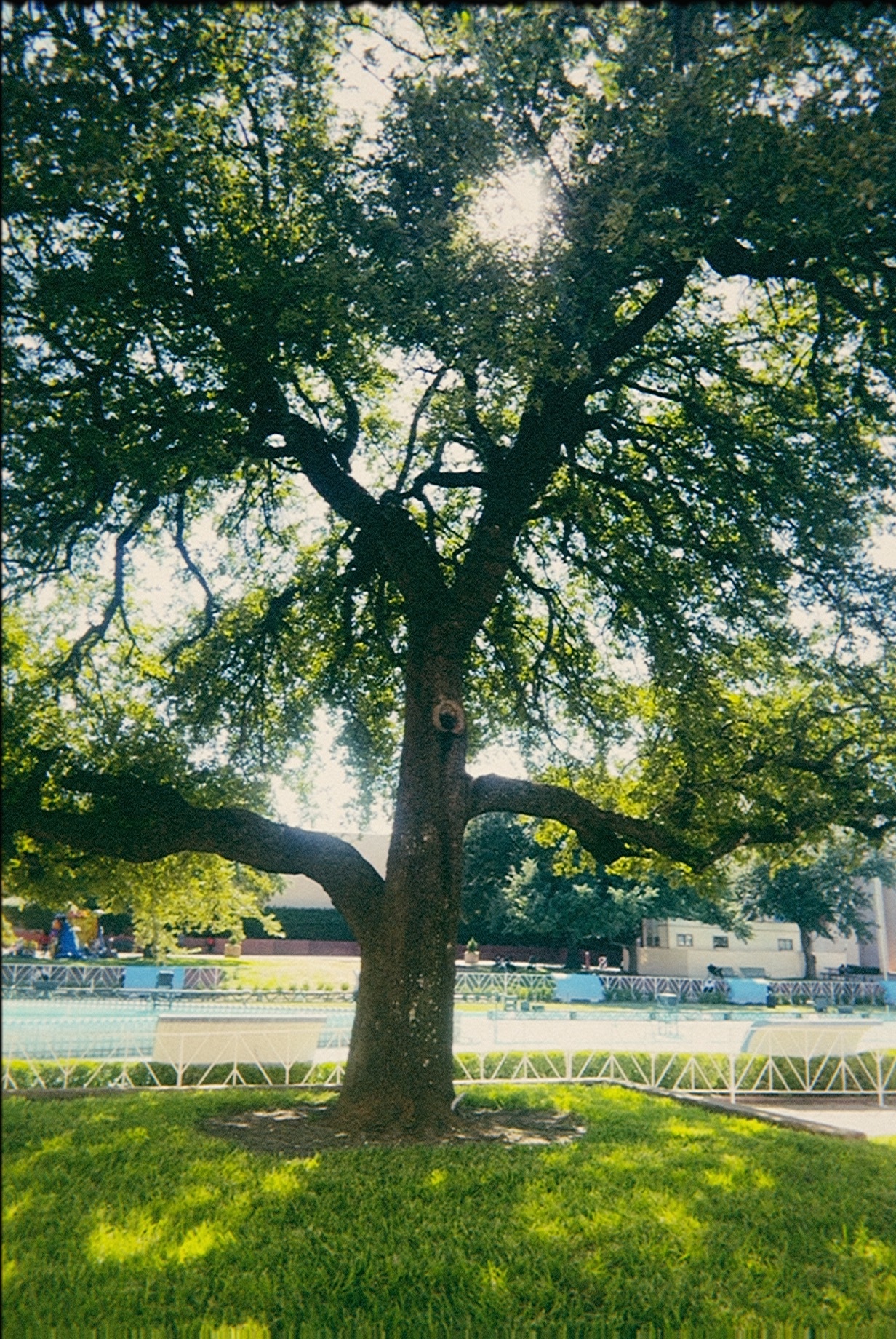 35 mm point-and-shoot look photo shot on iPhone with Atticam (GOLD 400)
