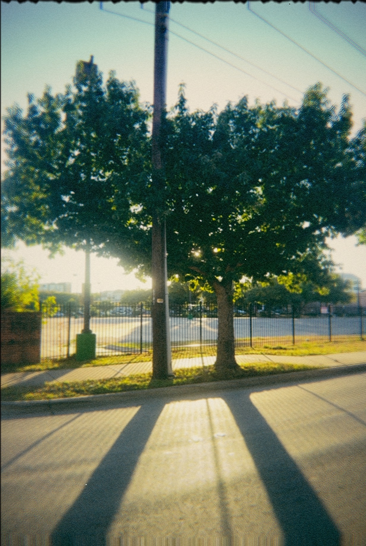 35 mm point-and-shoot look photo shot on iPhone with Atticam (GOLD 400)