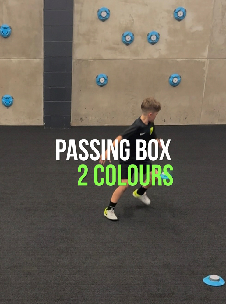 PASSING BOX - 2 COLOURS 