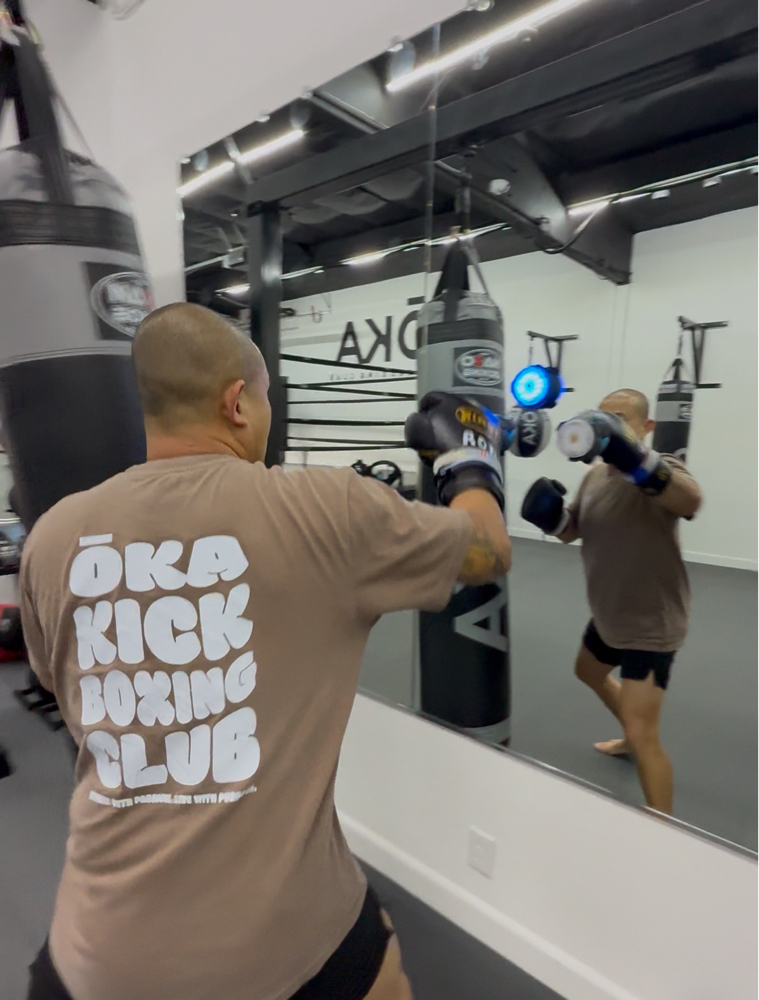 Power Punches X Quick Jab 