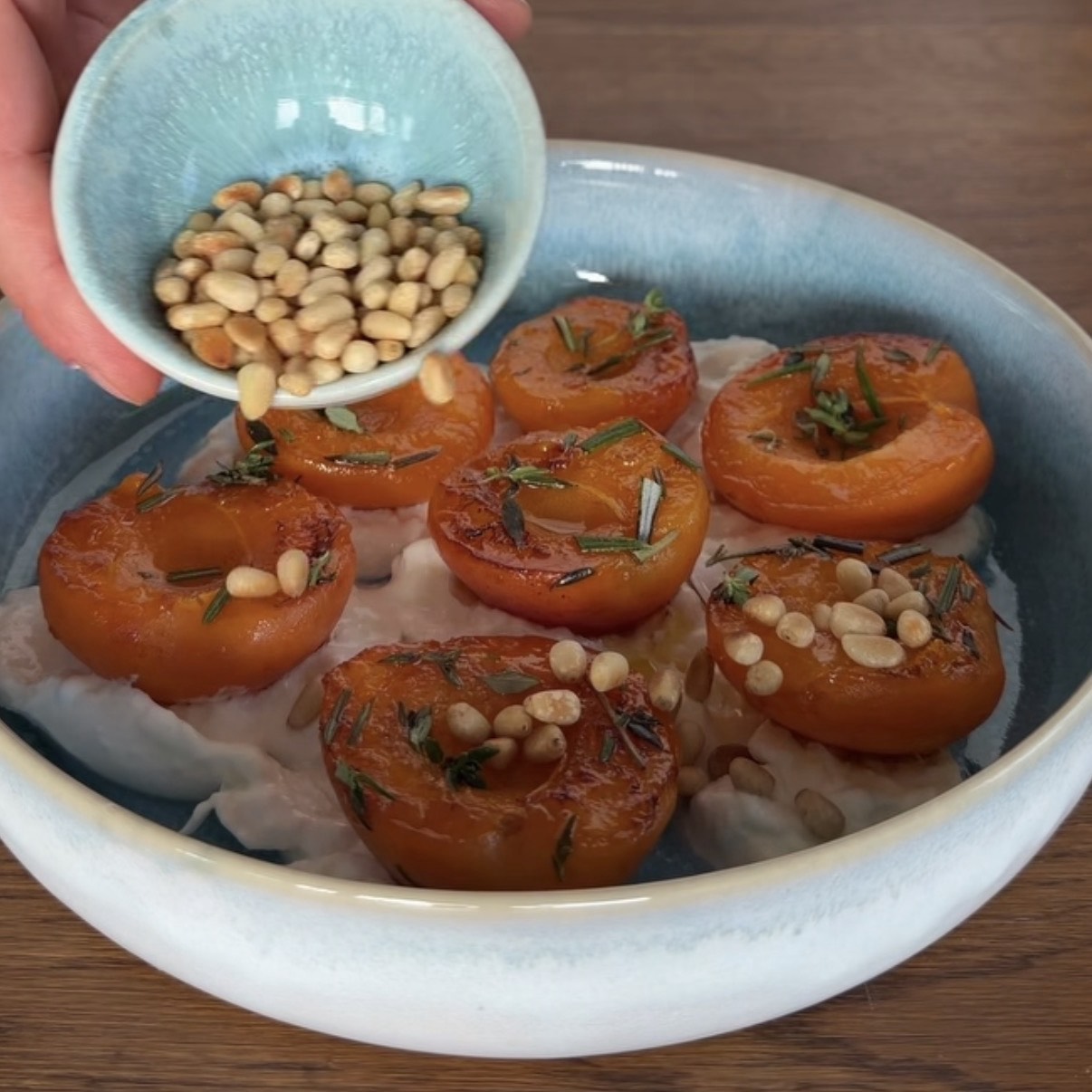 Gebratene Aprikosen auf Burrata