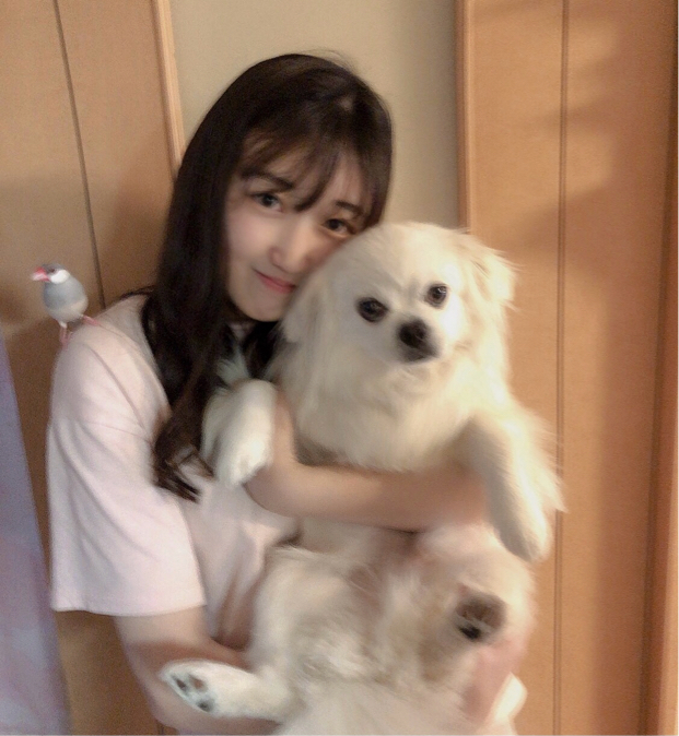 武田さんのプロフィール写真
