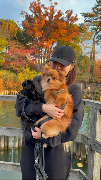 香月さんさんのプロフィール写真
