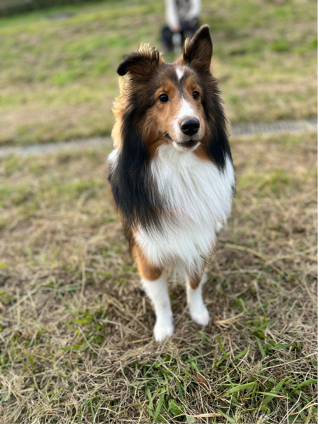 高野さんさんのプロフィール写真