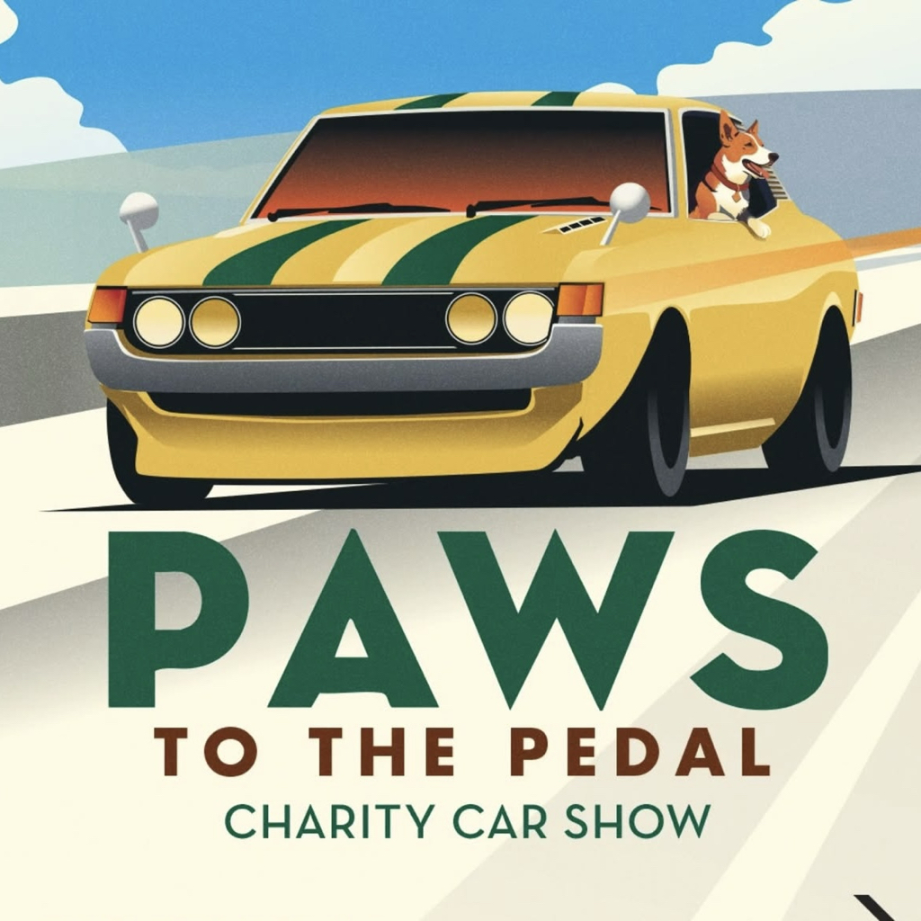 10th Annual Car Show