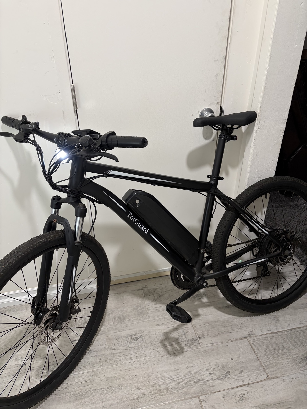 e-mountain bike