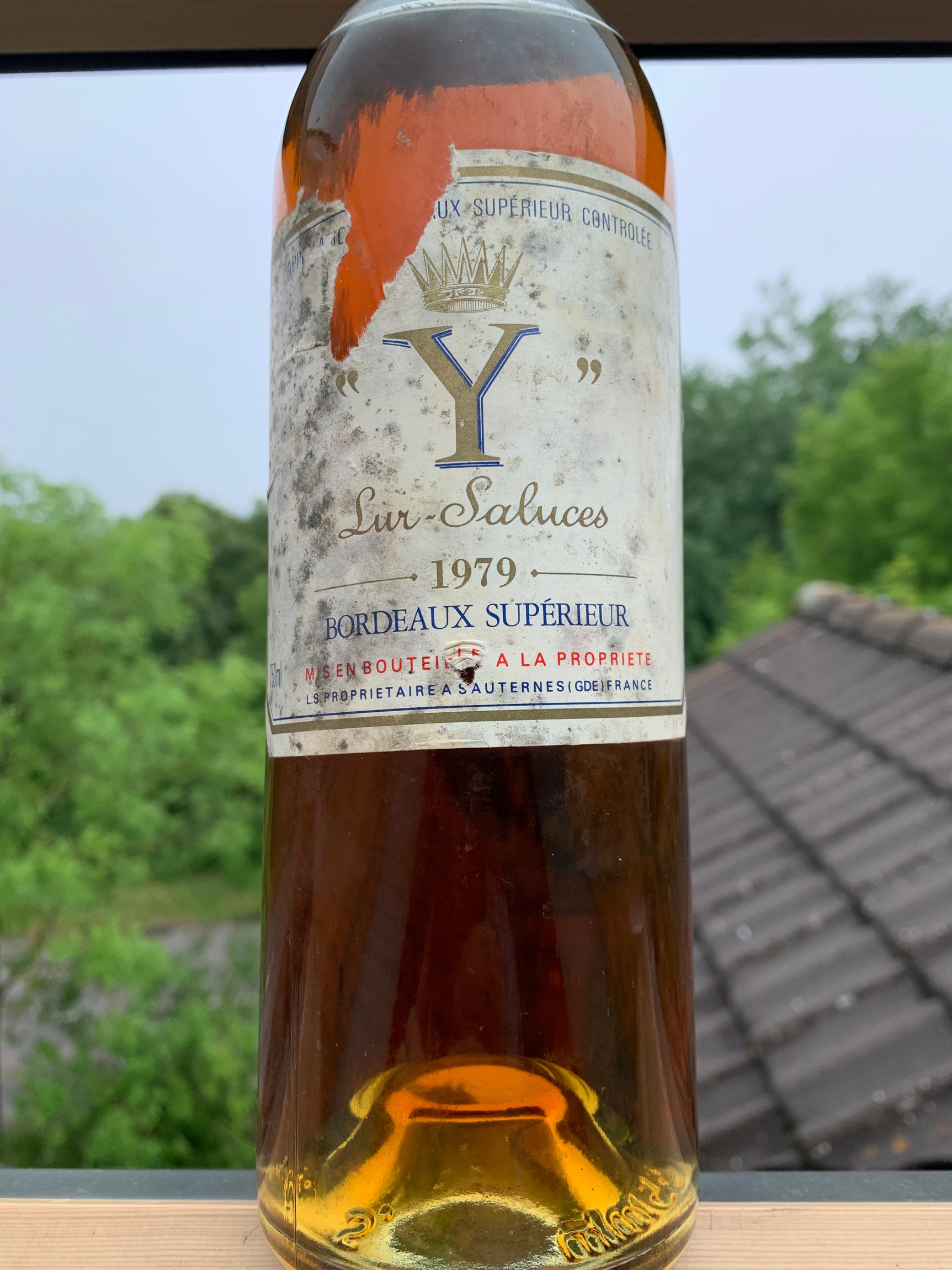 Y de Yquem 1979