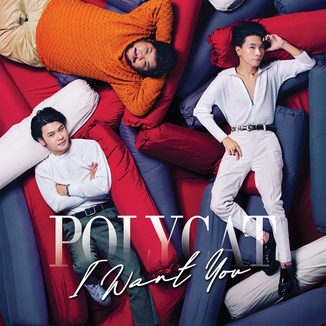 Polycat I Want You Concert