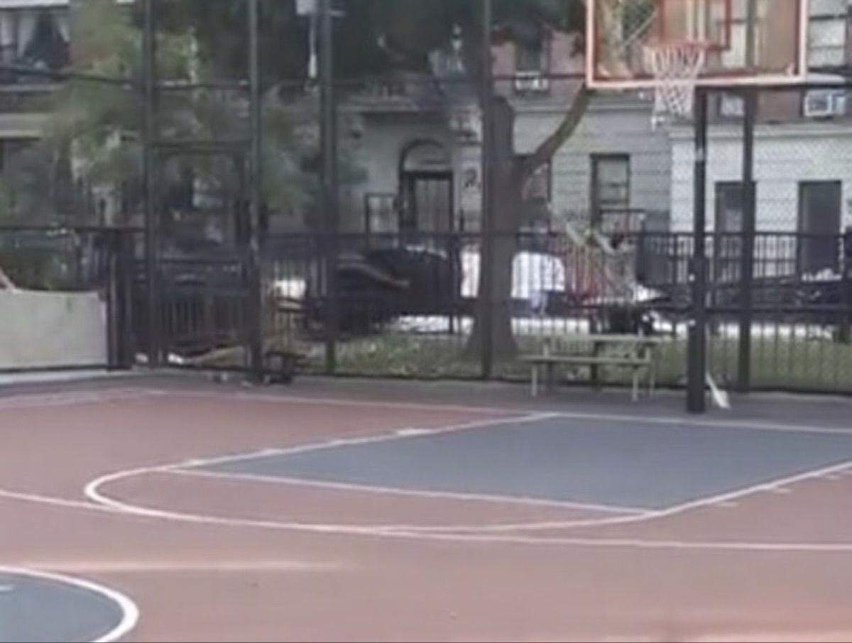 Jacob Schiff Playground