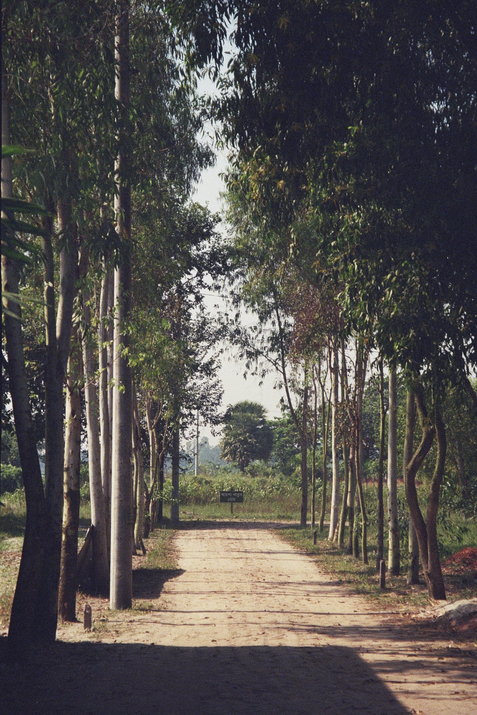 Bangla Medium