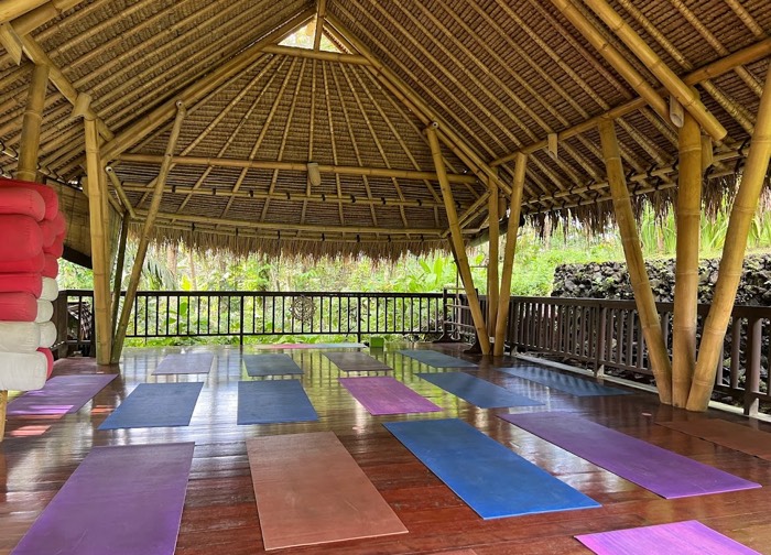 Ubud Yoga House