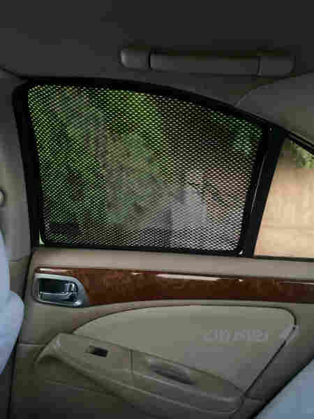سەنی یابانی 2010 - 6