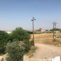 زه وى