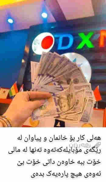 هەلی کاری ئۆنڵاین لە کۆمپانیایی dxn