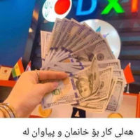 هەلی کاری ئۆنڵاین لە کۆمپانیایی dxn