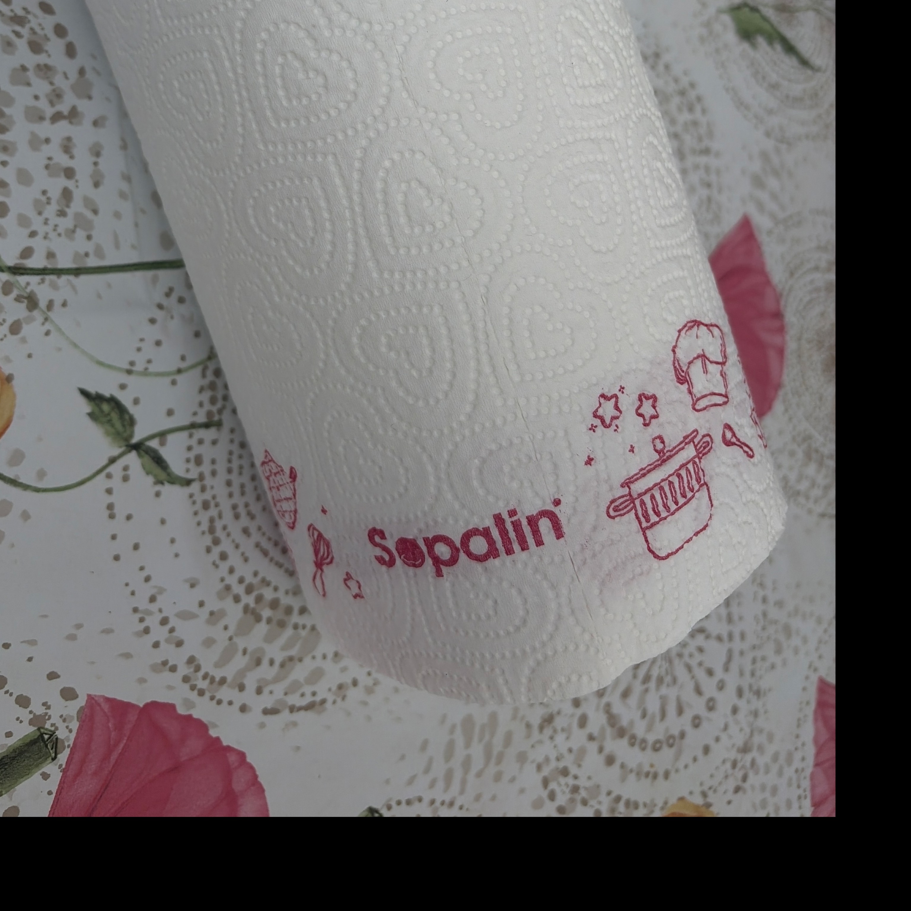 Rouleau d'essuie-tout Sopalin