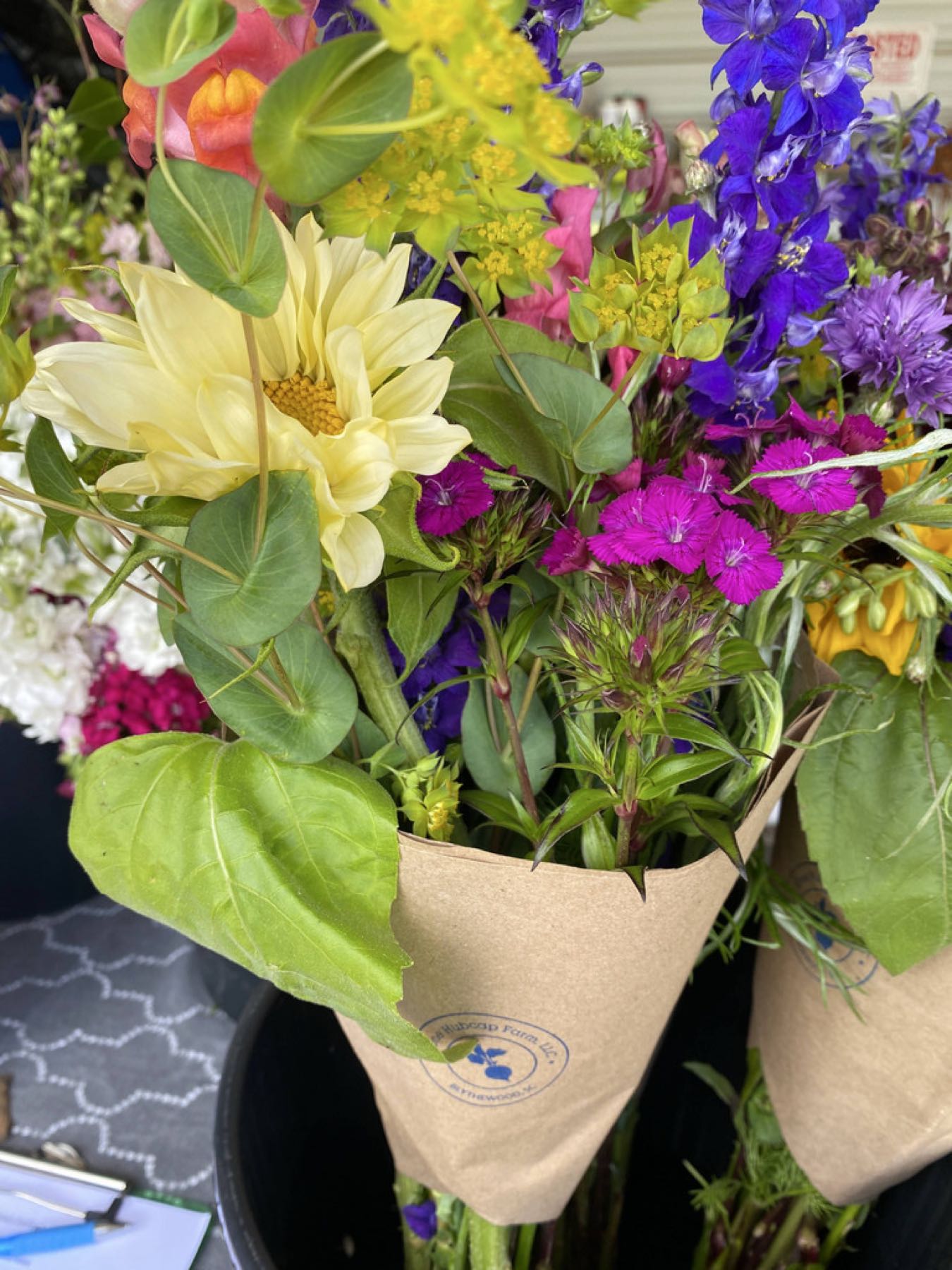 locally grown We produce professionally grown cut flowers for local florists and event planners, as well as DIY buckets for weddings, church flowers, and bouquets upon request.   profile