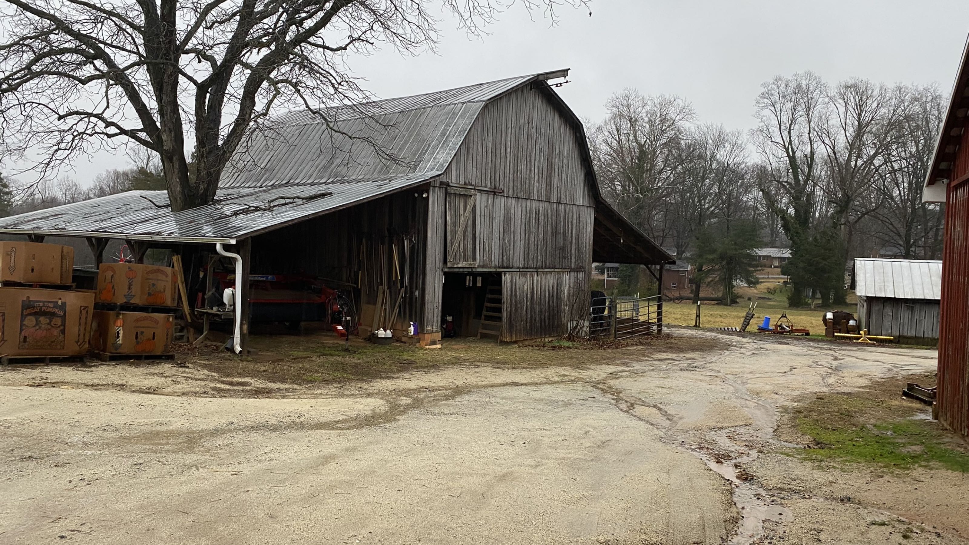 locally grown We are Apple Family Farm located in Kernersville, NC located a short distance from I-40. We provide a family friendly atmosphere with affordable prices. Let us be your one stop shop for your family.  profile