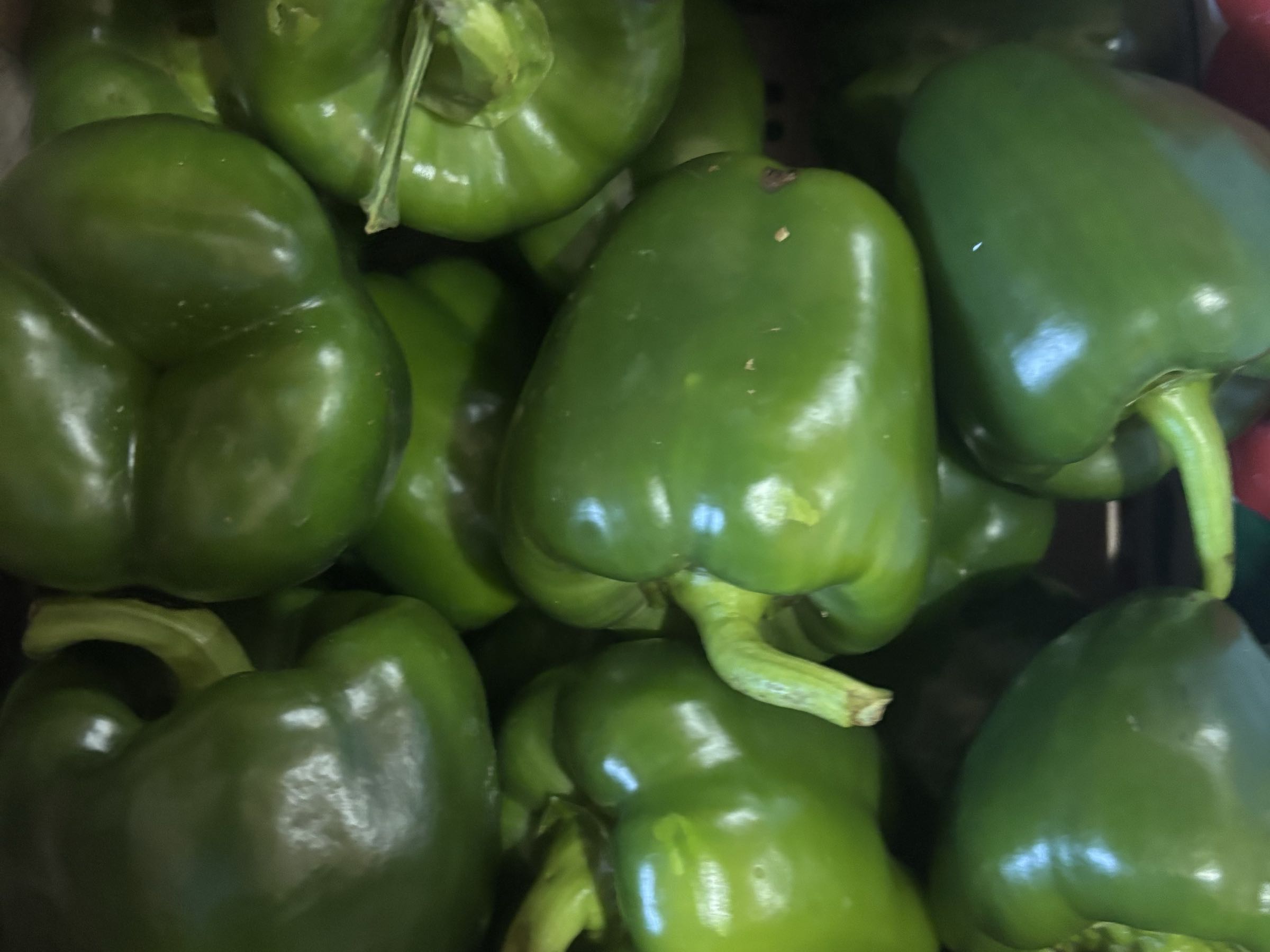 Lg. Green Bell Pepper
