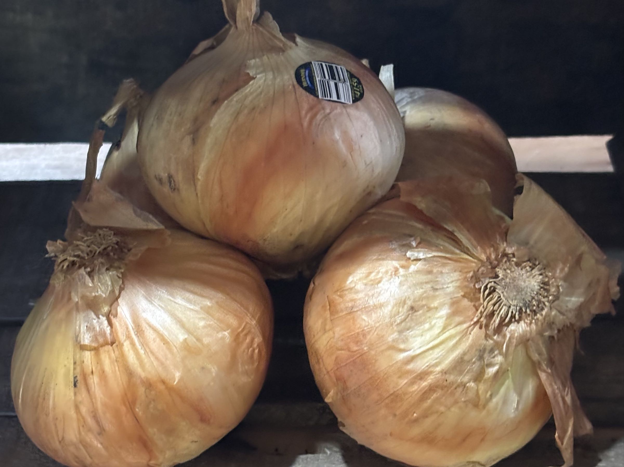 Thumbnail image 1 for Vidalia Sweet Onions