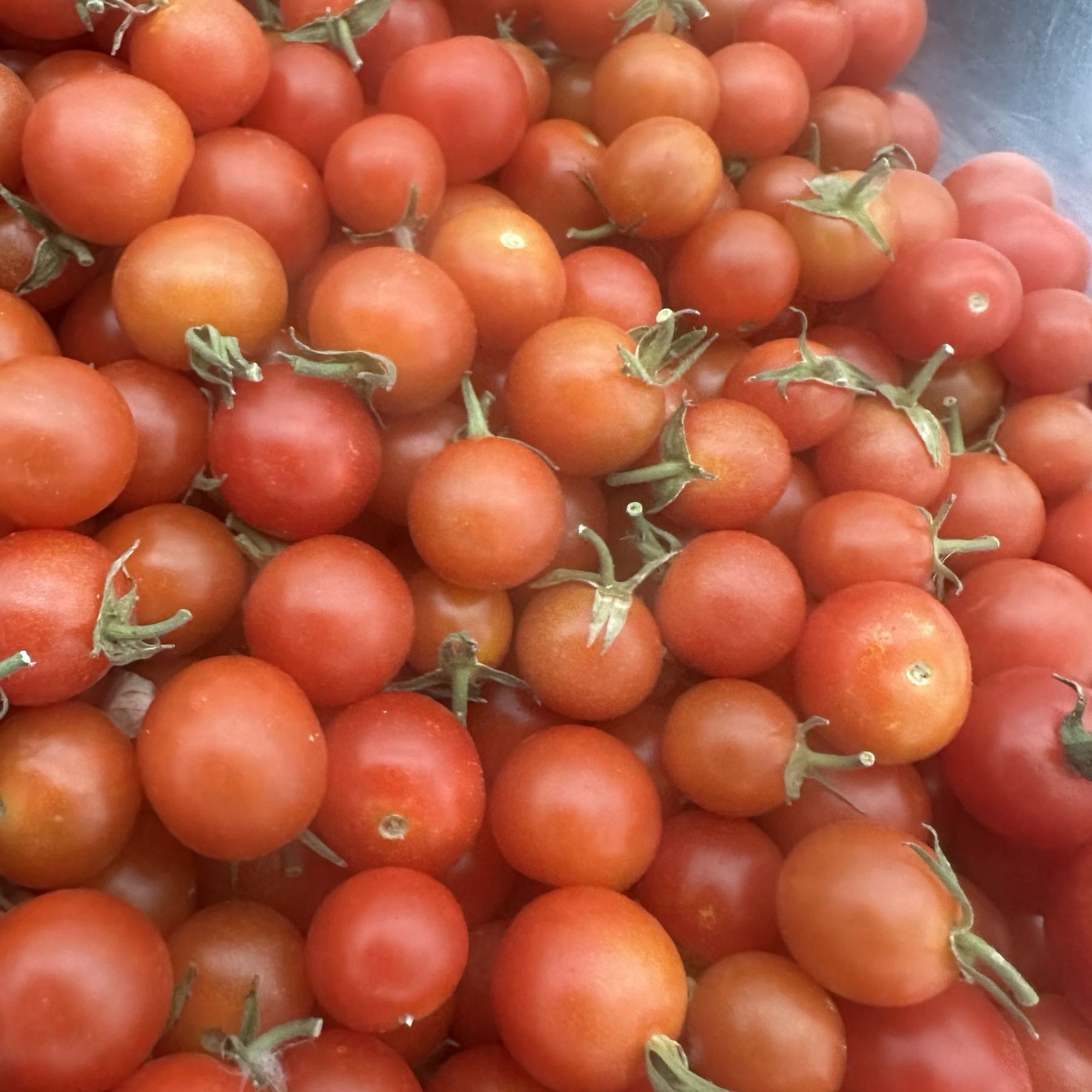 Cherry tomatoes