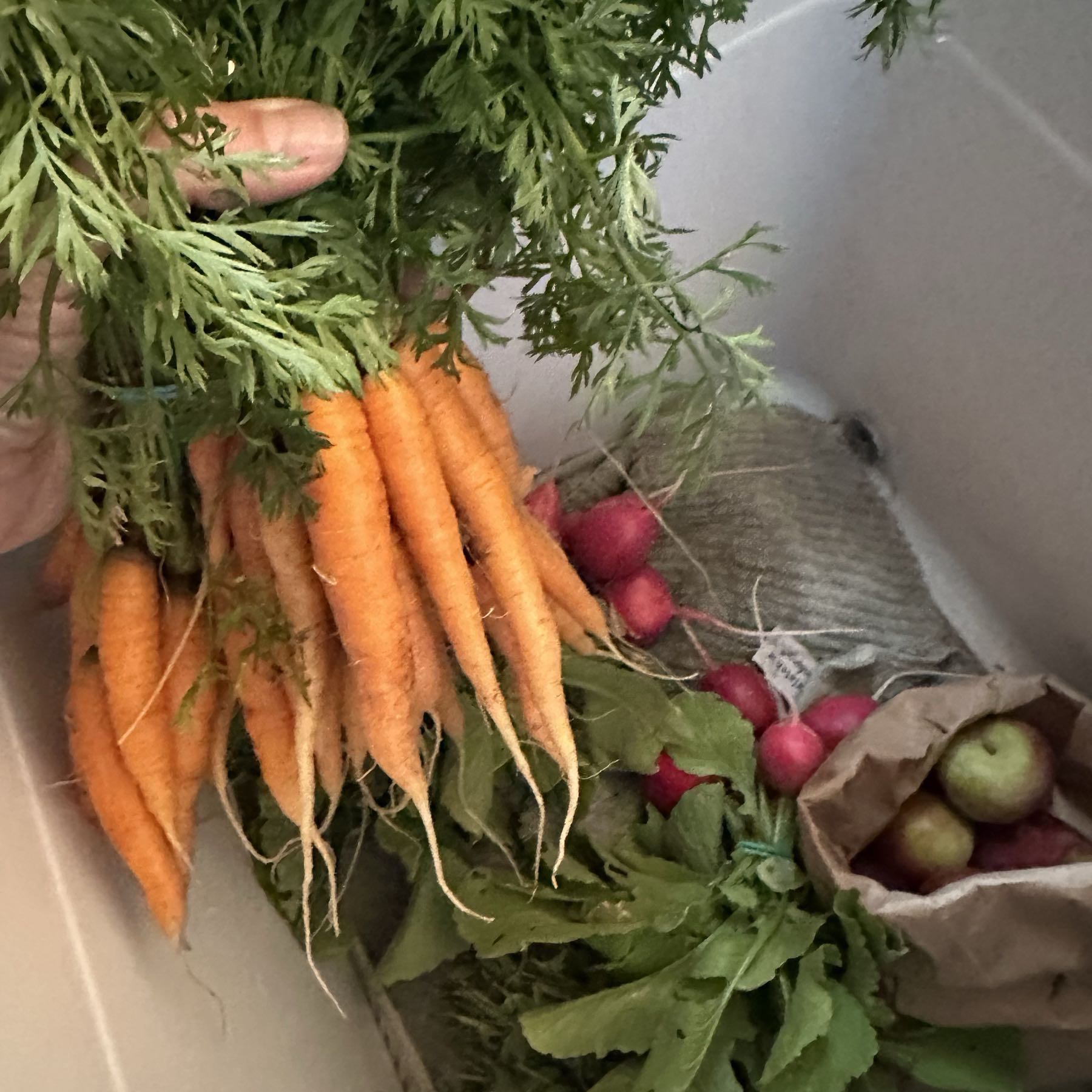 Carrots