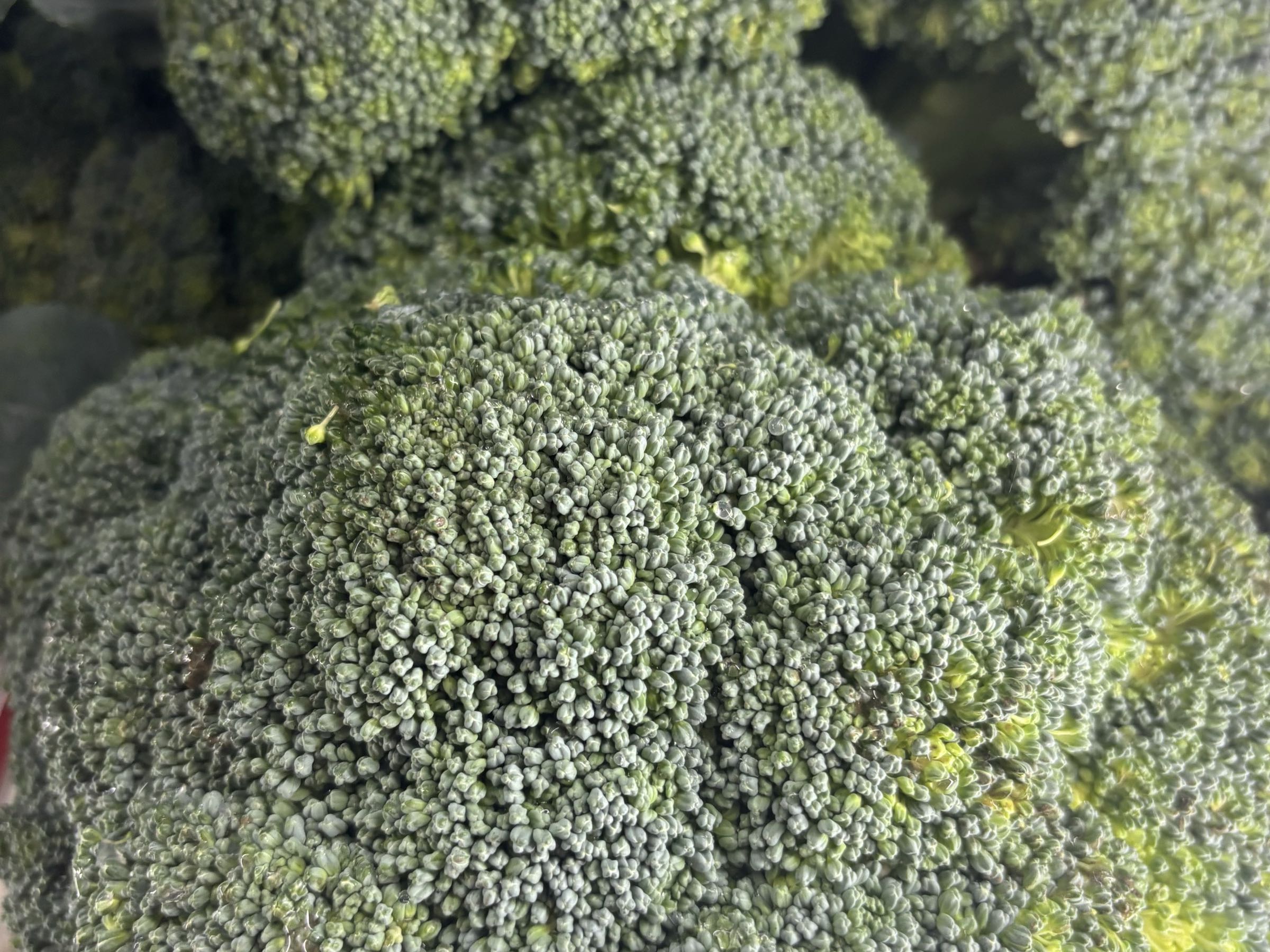 Broccoli crowns